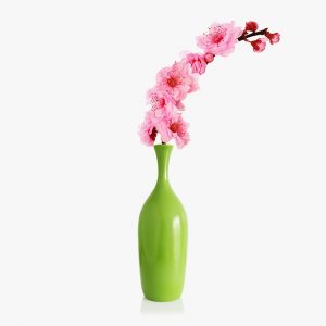 https://estato.bold-themes.com/property-sale/wp-content/uploads/sites/2/2016/08/green-vase-300x300.jpg