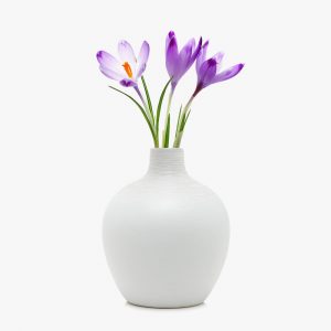 https://estato.bold-themes.com/property-sale/wp-content/uploads/sites/2/2016/08/white-vase-300x300.jpg